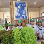 การปลูกผักไฮโดรโพนิกส์